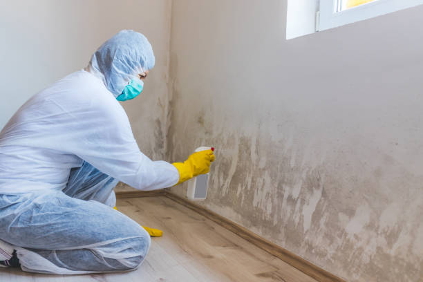 Hvac And Air Duct Mold Remediation inspection of HVAC system in Fannettsburg