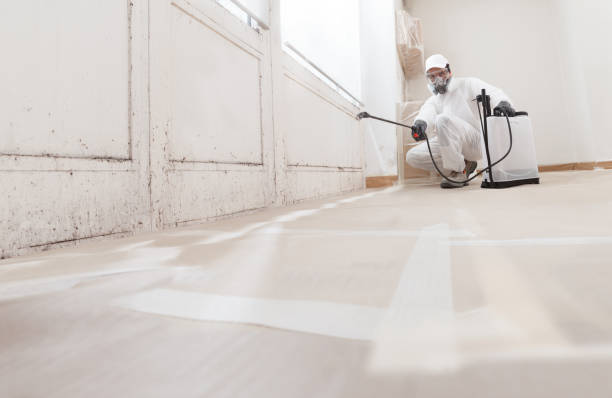 Black mold remediation team in Fannettsburg